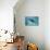 Sea Lion in the Ocean-DLILLC-Premier Image Canvas displayed on a wall