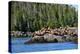 Sea Lions in Great Bear Rainforest, British Columbia, Canada, North America-Bhaskar Krishnamurthy-Premier Image Canvas