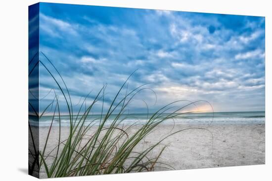 Sea Oat Curl of Sunset-Mary Lou Johnson-Stretched Canvas