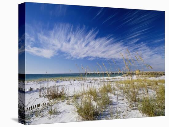 Sea Oats and White Sand Dunes-James Randklev-Premier Image Canvas