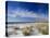 Sea Oats and White Sand Dunes-James Randklev-Premier Image Canvas