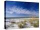 Sea Oats and White Sand Dunes-James Randklev-Premier Image Canvas