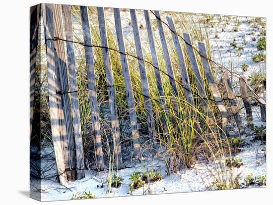 Sea Oats I-Danny Head-Premier Image Canvas