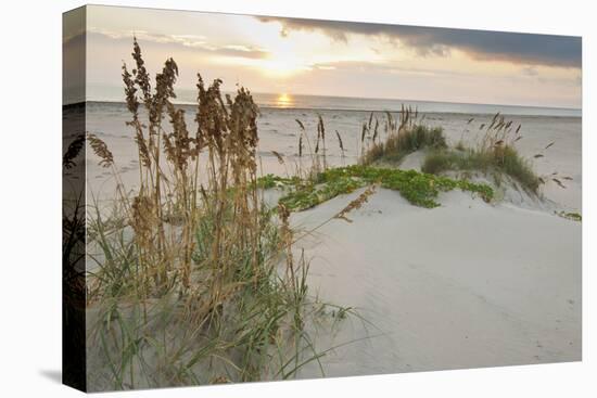 Sea Oats on Gulf of Mexico at South Padre Island, Texas, USA-Larry Ditto-Premier Image Canvas