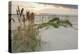 Sea Oats on Gulf of Mexico at South Padre Island, Texas, USA-Larry Ditto-Premier Image Canvas