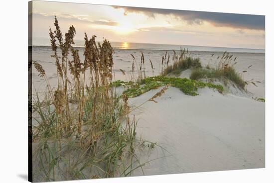 Sea Oats on Gulf of Mexico at South Padre Island, Texas, USA-Larry Ditto-Premier Image Canvas