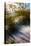 Sea Oats & Shadow I-Alan Hausenflock-Stretched Canvas