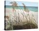 Sea Oats-Pamela Jablonski-Stretched Canvas