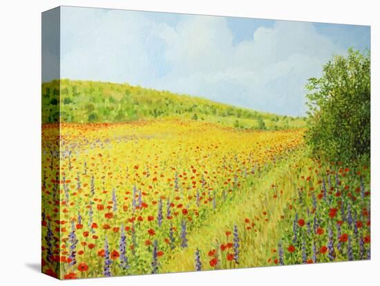 Sea Of Blossom-kirilstanchev-Stretched Canvas