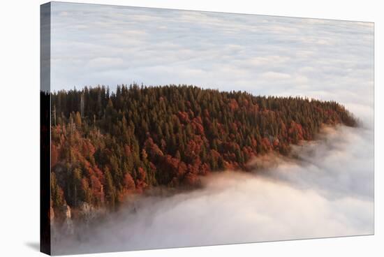 Sea of fog at the Feldberg at sunrise, Black Forest, Baden-Wurttemberg, Germany-Markus Lange-Stretched Canvas