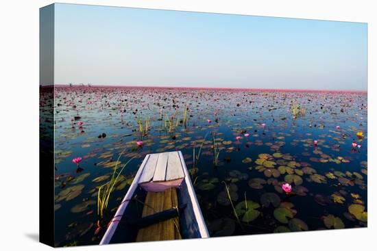 Sea of Red Lotus , Marsh Red Lotus , Small Boat in the Lotus , Caravel , Small Boat in the Sea of R-MSPT-Premier Image Canvas