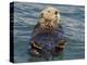 Sea Otter, Prince William Sound, Alaska, USA-Hugh Rose-Premier Image Canvas