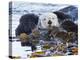 Sea Otter, San Luis Obispo County, California, USA-Cathy & Gordon Illg-Premier Image Canvas