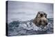 Sea Otter with Pup in Kukak Bay-Paul Souders-Premier Image Canvas