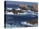 Sea Pounding Rocks on the Coast on the Cote Sauvage on Ouessant Island, Brittany, France, Europe-Thouvenin Guy-Premier Image Canvas