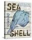 Sea Shell Blue-Karen J^ Williams-Stretched Canvas