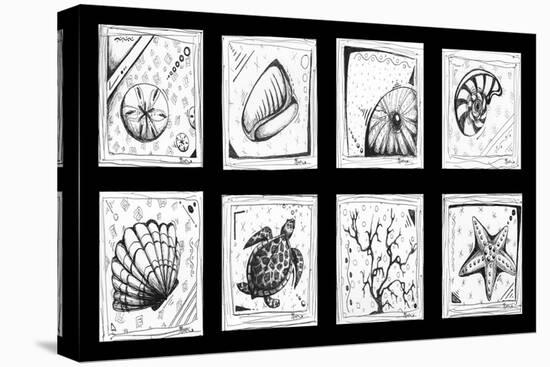 Sea Shells Beach-Megan Aroon Duncanson-Stretched Canvas