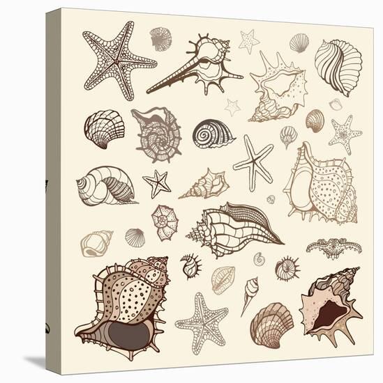 Sea Shells Collection.-Katyau-Stretched Canvas