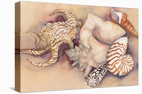 Sea Shells-Joanne Porter-Premier Image Canvas