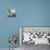 Sea Side Steps-Rick Novak-Stretched Canvas displayed on a wall