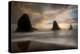 Sea Stack & Surf-Danny Head-Premier Image Canvas