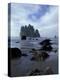 Sea Stacks and Sea Stars on Second Beach, Olympic National Park, Washington, USA-Jamie & Judy Wild-Premier Image Canvas