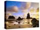 Sea Stacks Off Second Beach-Ron Watts-Premier Image Canvas