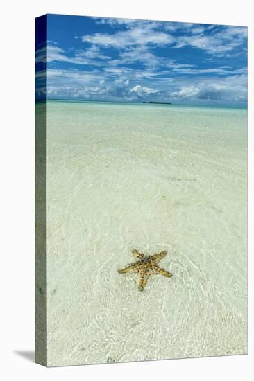 Sea Star in the Sand on the Rock Islands, Palau, Central Pacific-Michael Runkel-Premier Image Canvas