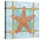 Sea Star-Bee Sturgis-Stretched Canvas