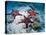 Sea Stars, Hood Island, Galapagos Islands, Ecuador-Jack Stein Grove-Premier Image Canvas