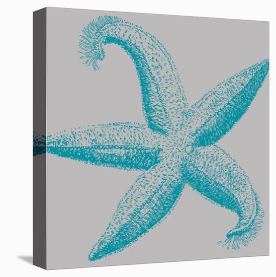 Sea Stars I-Sabine Berg-Stretched Canvas