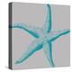 Sea Stars II-Sabine Berg-Stretched Canvas