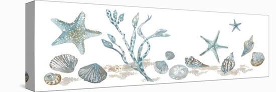 Sea Treasures - Shells-Sandra Jacobs-Stretched Canvas