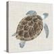Sea Turtle I-Naomi McCavitt-Stretched Canvas