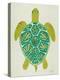 Sea Turtle in Lime-Cat Coquillette-Stretched Canvas