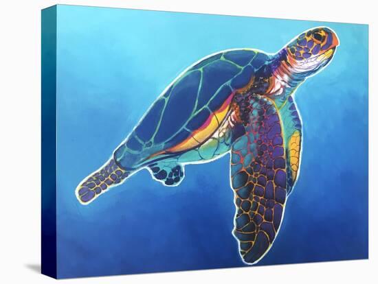 Sea Turtle - Rainbow-Dawgart-Premier Image Canvas