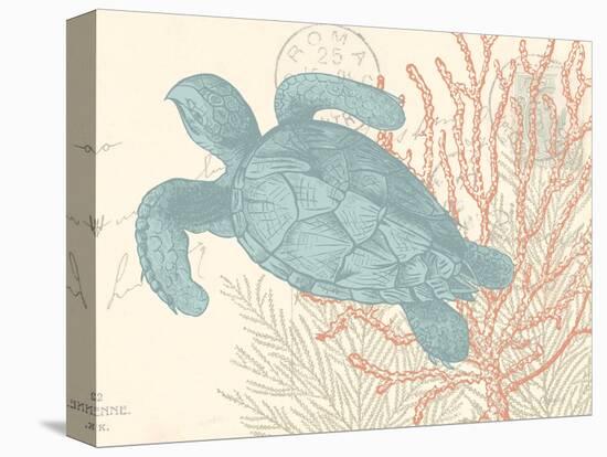 Sea Turtle-N. Harbick-Stretched Canvas