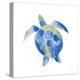 Sea Turtle-Mercedes Lopez Charro-Stretched Canvas