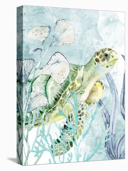 Sea Turtle-Kimberly Allen-Stretched Canvas