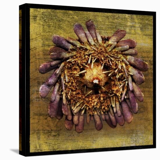 Sea Urchin 2-John W Golden-Premier Image Canvas