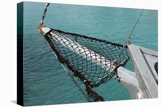 Sea, Water, Fishing Boat, Net-Catharina Lux-Premier Image Canvas