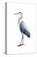 Seabird Heron I-Grace Popp-Stretched Canvas
