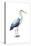 Seabird Heron II-Grace Popp-Stretched Canvas