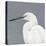 Seabird Thoughts 1-Norman Wyatt Jr^-Stretched Canvas