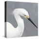 Seabird Thoughts 2-Norman Wyatt Jr.-Stretched Canvas