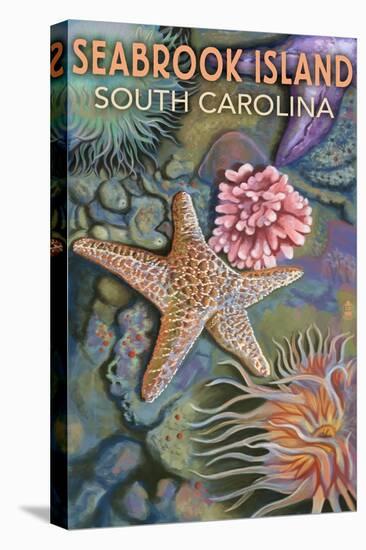 Seabrook Island, South Carolina - Tidepool-Lantern Press-Stretched Canvas