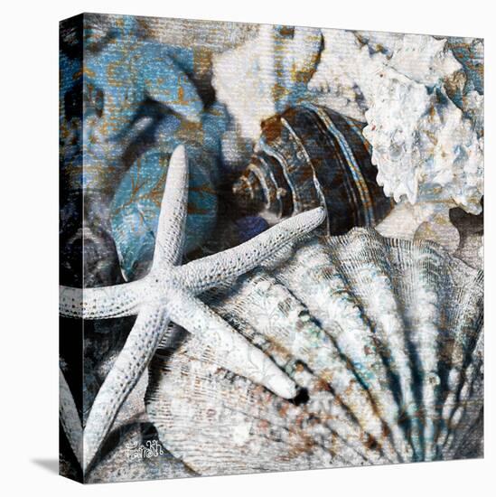 Seachells in Blue II-null-Stretched Canvas