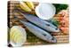 Seafood, Fish - Fresh Mackerel and Shrimps in Cuisine-Gorilla-Premier Image Canvas