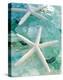Seaglass 1-Alan Blaustein-Stretched Canvas