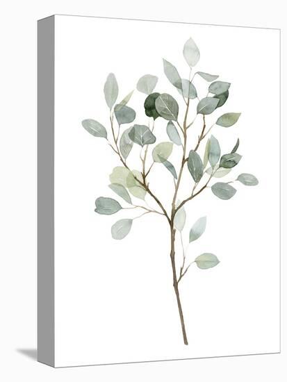 Seaglass Eucalyptus II-Grace Popp-Stretched Canvas